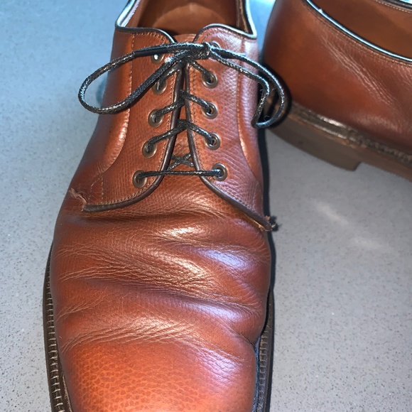 Alden 946 Brown Alpine Grain Plain Toe Bloucher 10